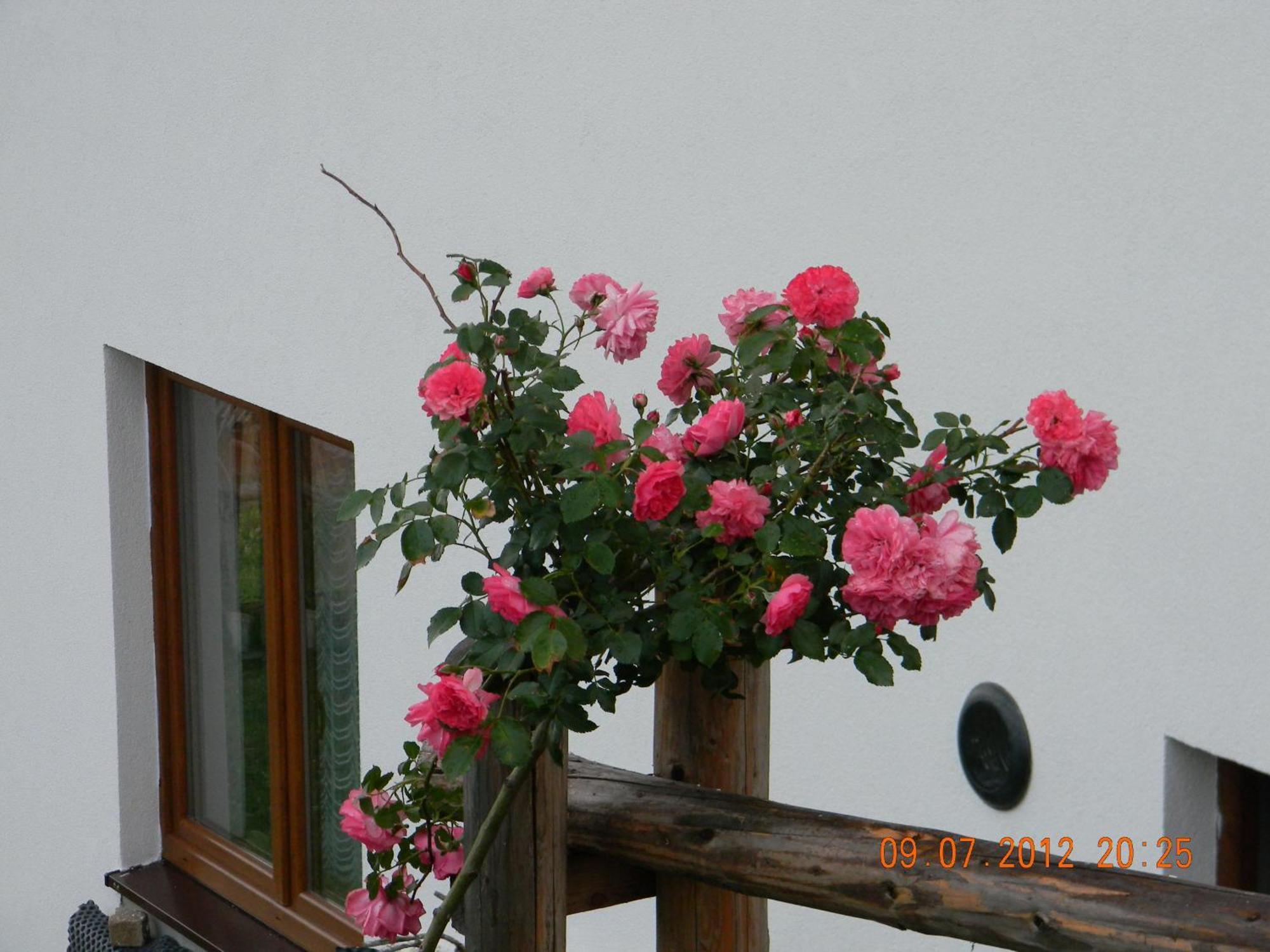 Pokoje Goscinne Kaminscy Gliczarów Extérieur photo